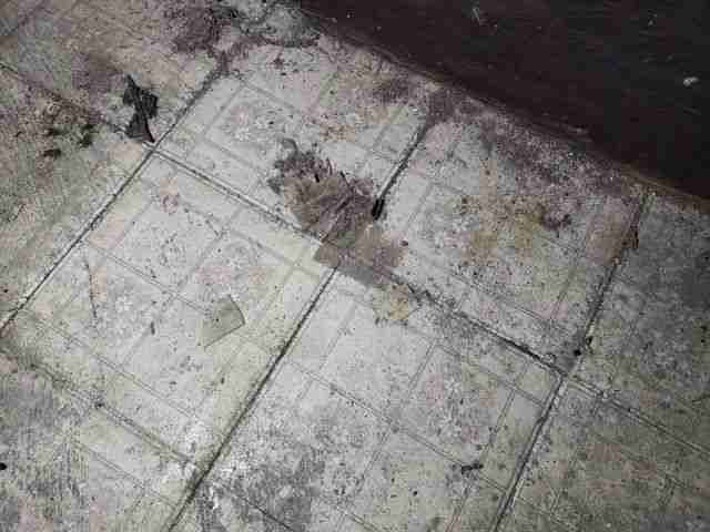 Testing again(11).jpg